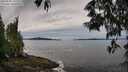 ./images/koeye/fitz-hugh/20250528/fitz-hugh20250528_100510M.jpg