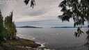 ./images/koeye/fitz-hugh/20250528/fitz-hugh20250528_101510M.jpg