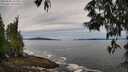 ./images/koeye/fitz-hugh/20250528/fitz-hugh20250528_102510M.jpg