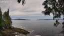 ./images/koeye/fitz-hugh/20250528/fitz-hugh20250528_103510M.jpg