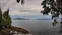 ./images/koeye/fitz-hugh/20250528/fitz-hugh20250528_104010M.jpg