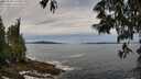 ./images/koeye/fitz-hugh/20250528/fitz-hugh20250528_110510M.jpg