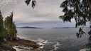 ./images/koeye/fitz-hugh/20250528/fitz-hugh20250528_111510M.jpg