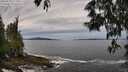 ./images/koeye/fitz-hugh/20250528/fitz-hugh20250528_112509M.jpg