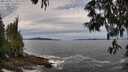 ./images/koeye/fitz-hugh/20250528/fitz-hugh20250528_113010M.jpg
