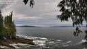 ./images/koeye/fitz-hugh/20250528/fitz-hugh20250528_115510M.jpg