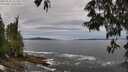 ./images/koeye/fitz-hugh/20250528/fitz-hugh20250528_121509M.jpg