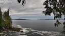 ./images/koeye/fitz-hugh/20250528/fitz-hugh20250528_123508M.jpg