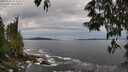 ./images/koeye/fitz-hugh/20250528/fitz-hugh20250528_124510M.jpg