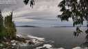 ./images/koeye/fitz-hugh/20250528/fitz-hugh20250528_125509M.jpg