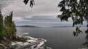 ./images/koeye/fitz-hugh/20250528/fitz-hugh20250528_131010M.jpg