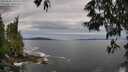 ./images/koeye/fitz-hugh/20250528/fitz-hugh20250528_131509M.jpg