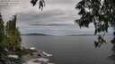 ./images/koeye/fitz-hugh/20250528/fitz-hugh20250528_133011M.jpg