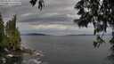 ./images/koeye/fitz-hugh/20250528/fitz-hugh20250528_135008M.jpg