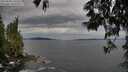 ./images/koeye/fitz-hugh/20250528/fitz-hugh20250528_135510M.jpg