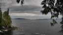 ./images/koeye/fitz-hugh/20250528/fitz-hugh20250528_140012M.jpg