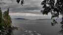 ./images/koeye/fitz-hugh/20250528/fitz-hugh20250528_140510M.jpg