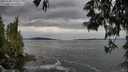 ./images/koeye/fitz-hugh/20250528/fitz-hugh20250528_141010M.jpg