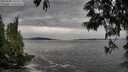 ./images/koeye/fitz-hugh/20250528/fitz-hugh20250528_141510M.jpg