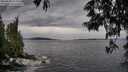./images/koeye/fitz-hugh/20250528/fitz-hugh20250528_142009M.jpg