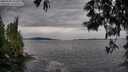 ./images/koeye/fitz-hugh/20250528/fitz-hugh20250528_142510M.jpg