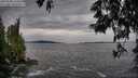 ./images/koeye/fitz-hugh/20250528/fitz-hugh20250528_143011M.jpg