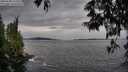 ./images/koeye/fitz-hugh/20250528/fitz-hugh20250528_143510M.jpg