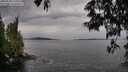 ./images/koeye/fitz-hugh/20250528/fitz-hugh20250528_144511M.jpg