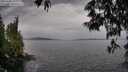 ./images/koeye/fitz-hugh/20250528/fitz-hugh20250528_145510M.jpg