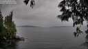 ./images/koeye/fitz-hugh/20250528/fitz-hugh20250528_154010M.jpg
