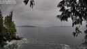 ./images/koeye/fitz-hugh/20250528/fitz-hugh20250528_154510M.jpg
