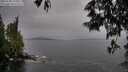 ./images/koeye/fitz-hugh/20250528/fitz-hugh20250528_155010M.jpg