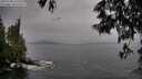 ./images/koeye/fitz-hugh/20250528/fitz-hugh20250528_155510M.jpg