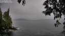 ./images/koeye/fitz-hugh/20250528/fitz-hugh20250528_160012M.jpg