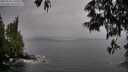 ./images/koeye/fitz-hugh/20250528/fitz-hugh20250528_160510M.jpg