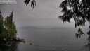 ./images/koeye/fitz-hugh/20250528/fitz-hugh20250528_161511M.jpg