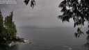 ./images/koeye/fitz-hugh/20250528/fitz-hugh20250528_162510M.jpg
