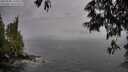 ./images/koeye/fitz-hugh/20250528/fitz-hugh20250528_163510M.jpg