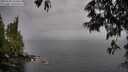 ./images/koeye/fitz-hugh/20250528/fitz-hugh20250528_164511M.jpg