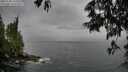 ./images/koeye/fitz-hugh/20250528/fitz-hugh20250528_165508M.jpg