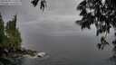 ./images/koeye/fitz-hugh/20250528/fitz-hugh20250528_171010M.jpg