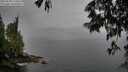 ./images/koeye/fitz-hugh/20250528/fitz-hugh20250528_173010M.jpg