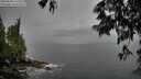 ./images/koeye/fitz-hugh/20250528/fitz-hugh20250528_173510M.jpg