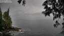 ./images/koeye/fitz-hugh/20250528/fitz-hugh20250528_174009M.jpg