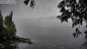 ./images/koeye/fitz-hugh/20250528/fitz-hugh20250528_174511M.jpg