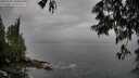./images/koeye/fitz-hugh/20250528/fitz-hugh20250528_180013M.jpg