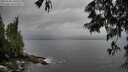 ./images/koeye/fitz-hugh/20250528/fitz-hugh20250528_180510M.jpg