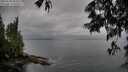 ./images/koeye/fitz-hugh/20250528/fitz-hugh20250528_181010M.jpg