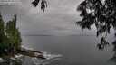 ./images/koeye/fitz-hugh/20250528/fitz-hugh20250528_182509M.jpg