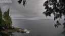 ./images/koeye/fitz-hugh/20250528/fitz-hugh20250528_183011M.jpg